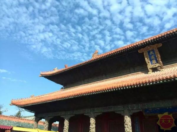 梦想起航的山东，山东，梦想之地